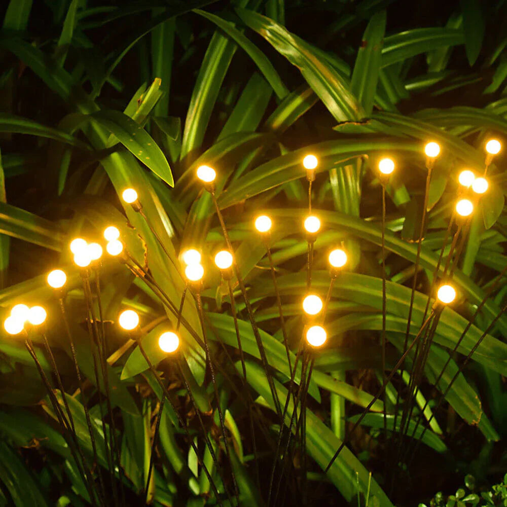 Firefly Lights